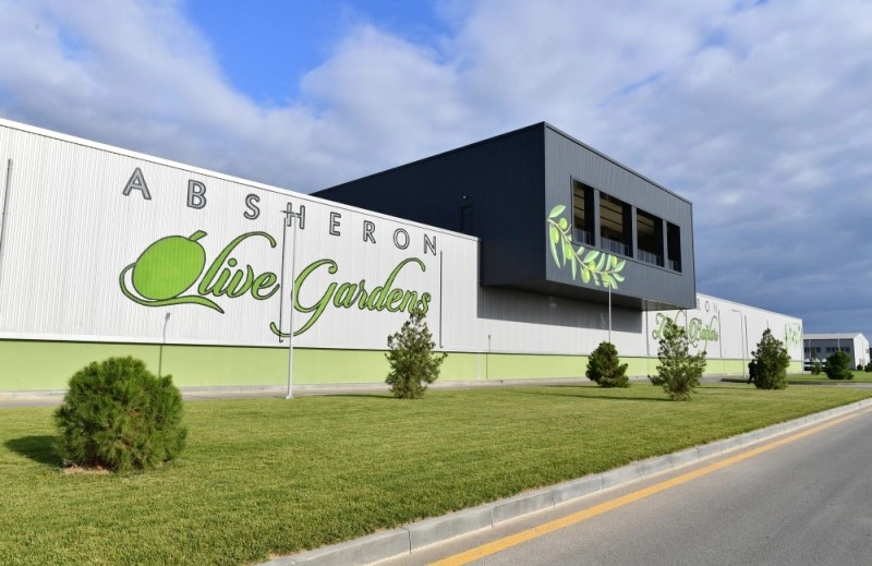 Absheron Olive Gardens(Zeytun zavodu)